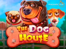 The dog house online casino16